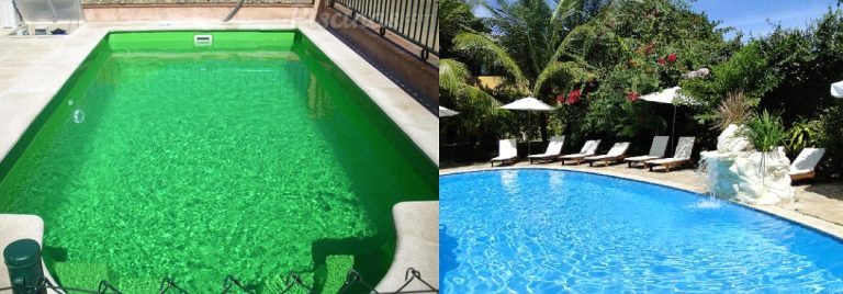 Piscina com água verde? Veja como tratar!